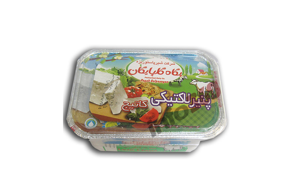 پنیر لاکتیکی کاتیج پگاه 300 گرمی(گلپایگان)